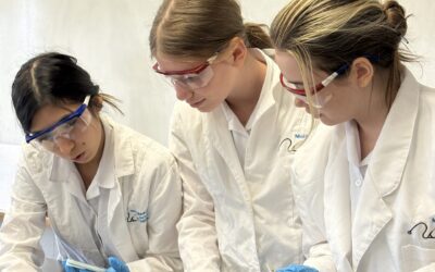 From Abstract Neuroanatomy to Tangible Experience